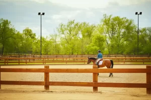 Outdoor Equestrian Lighting Horse Lighting